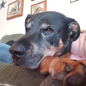 Meet your Posher, Cindy